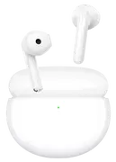 1700642482-opt.webp