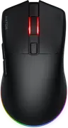 1737727793-opt.webp