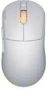 1739372209-opt.webp