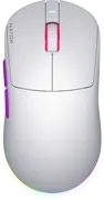1739375147-opt.webp