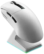 1754061296-opt-2.webp