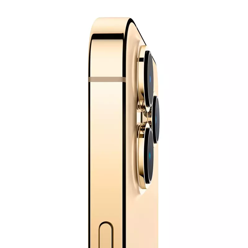 Apple iPhone 13 Pro 256GB Gold (MLVK3) - фото - №4